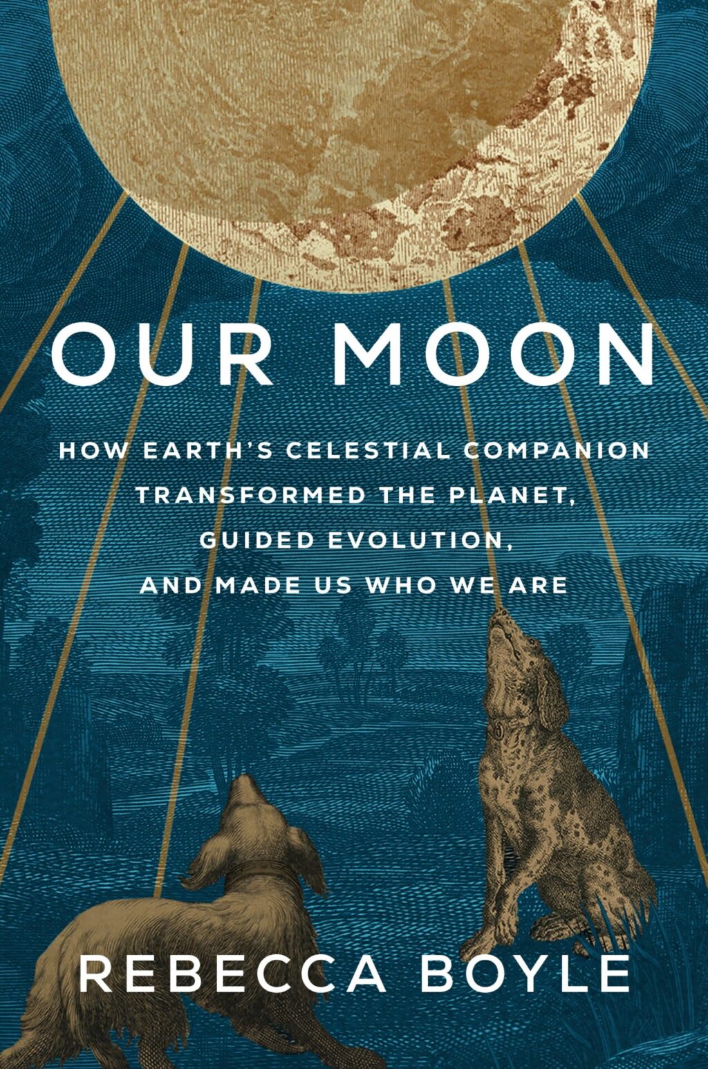 Rebecca Boyle: Our Moon: How Earth's Celestial Companion Transformed ...