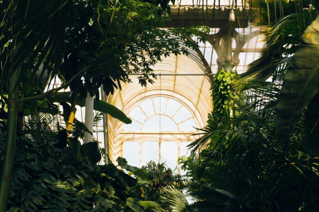 Cover image for How do Plants have a Sense of Place?