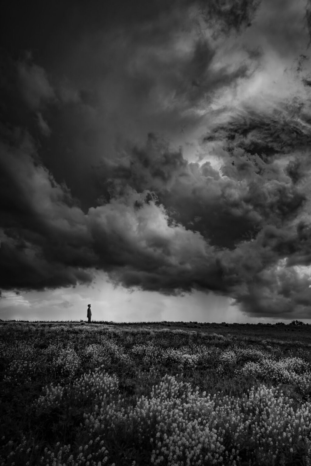 Cover image for What is Panpsychism? (Part II)